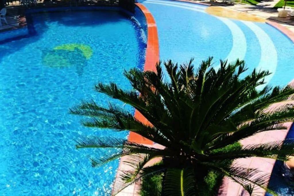 Solar De Pipa - Pipa Vip Flats Lejlighed Praia de Pipa Eksteriør billede